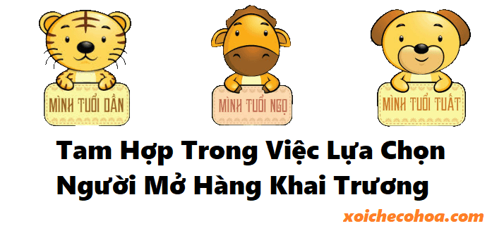 Hình ảnh minh họa tam hợp trong việc chọn người mở hàng khai trương đầu năm